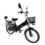 20-inch spoked wheel, fat tire, single electric goose head handlebar, cable tray, oil tray, rear-mounted Bluetooth speaker, lithium battery electric bicycle